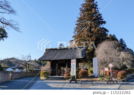 東京都青梅市 冬 塩船観音寺  東京都青梅市 冬 塩船観音寺  115222262