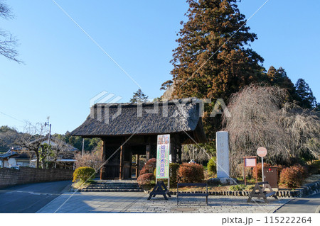 東京都青梅市　冬　塩船観音寺　 115222264