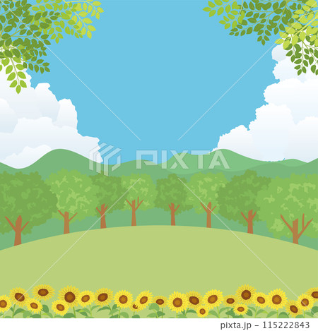 夏の風景 ひまわりが咲く丘 夏の風景 ひまわりが咲く丘 115222843