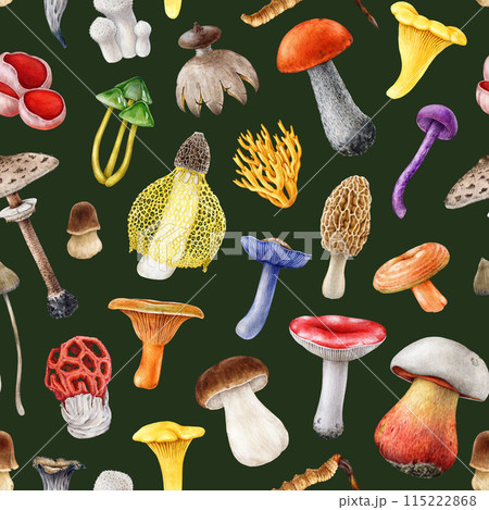 Different bright mushrooms seamless pattern. Hand drawn watercolor illustration. Various fungus elements seamless pattern. Colorful mushroom collection. Dark color background 115222868