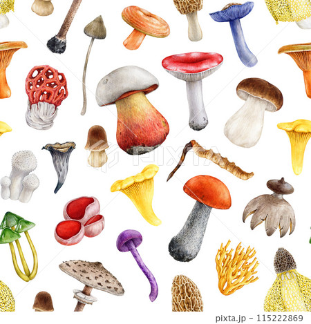 Different bright mushrooms seamless pattern. Watercolor painted illustration. Hand drawn various fungi seamless pattern. Mushroom collection illustration on white background 115222869