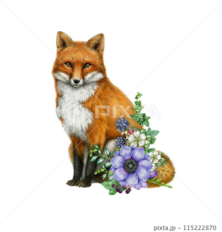 Hand painted fox with flower decor. Vintage style watercolor illustration. Hand drawn cute red foxy with garden flowers decoration element. Red fox with flowers on white background 115222870