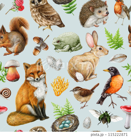 Forest animals with natural elements seamless pattern. Vintage style watercolor illustration. Hand drawn fox, squirrel, hedgehog, robin, owl, mushrooms, fern seamless pattern 115222871