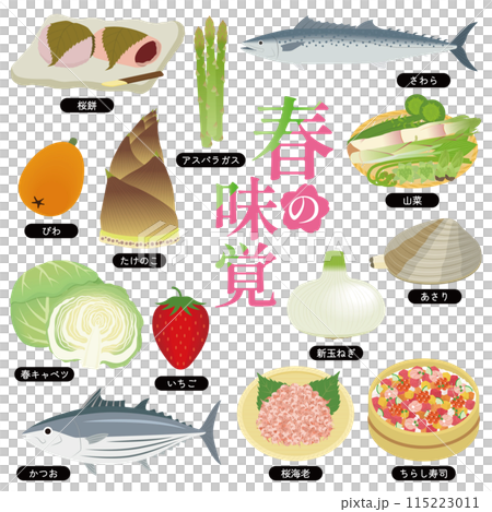 Spring flavors illustration set 115223011