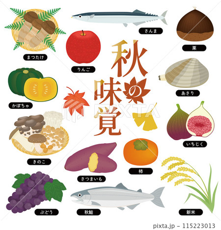 秋の味覚のイラストセット 115223013