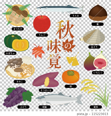 秋の味覚のイラストセット 115223013