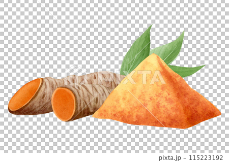 Curcuma turmeric root slices with leaves and ground spice powder watercolor illustration isolated on white. Cut orange and brown curcumin herb, hand drawn natural cooking ingredients 115223192