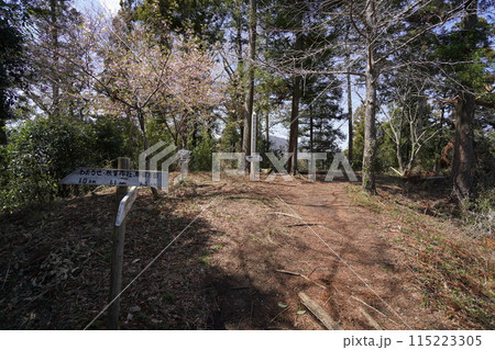 神川町　金鑚（かなさな）神社から登る御岳山の山頂　2024年3月30日 115223305