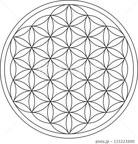 フラワーオブライフ、スピリチュアルシンボル、ベクターイラスト フラワーオブライフ、スピリチュアルシンボル、ベクターイラスト 115223800