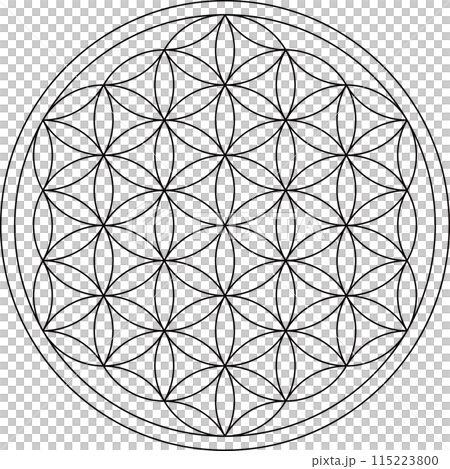 フラワーオブライフ、スピリチュアルシンボル、ベクターイラスト フラワーオブライフ、スピリチュアルシンボル、ベクターイラスト 115223800