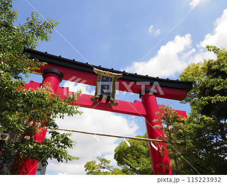 富岡八幡宮例大祭2023 115223932