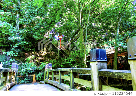 【東京】初夏の等々力渓谷　利剣の橋と等々力不動尊へ続く階段 115224544