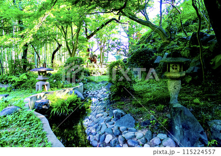 【東京】初夏の等々力渓谷　涼しげな日本庭園 115224557