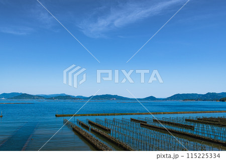 牡蠣棚が並ぶ風景 牡蠣棚が並ぶ風景 115225334