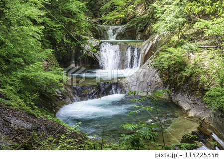 新緑の西沢渓谷七ツ釜五段の滝 新緑の西沢渓谷七ツ釜五段の滝 115225356