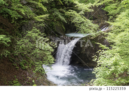 新緑の西沢渓谷竜神の滝 新緑の西沢渓谷竜神の滝 115225359