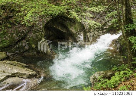 新緑の西沢渓谷母胎淵  115225365