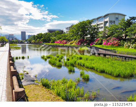 千秋公園・大手門の堀（秋田県秋田市） 115225475