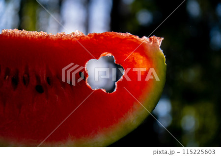 Fresh juicy red watermelon slice flower shaped in hands on background of outdoor garden in summertime during sunset. Concept of summer holidays and vacation. Slow-living Fresh juicy red watermelon slice flower shaped in hands on background of outdoor garden in summertime during sunset. Concept of summer holidays and vacation. Slow-living 115225603