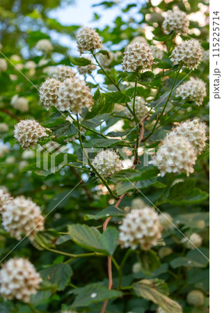 Beauty is all around us Beauty is all around us 115225714