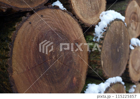Wall of stacked wood logs as background. Wall of stacked wood logs as background. 115225857