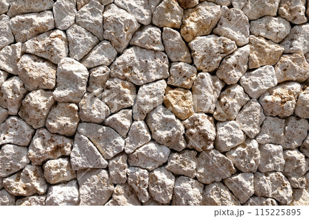 琉球石灰岩の壁 琉球石灰岩の壁 115225895