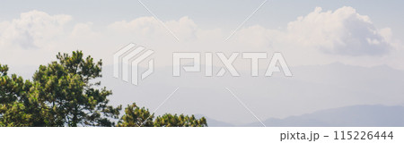 travel and people activity concept with large pine with layer of mountain and cloudy sky background 115226444