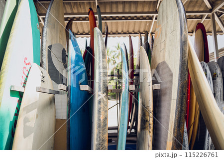 A variety of surfboards are neatly displayed on a stand 115226761