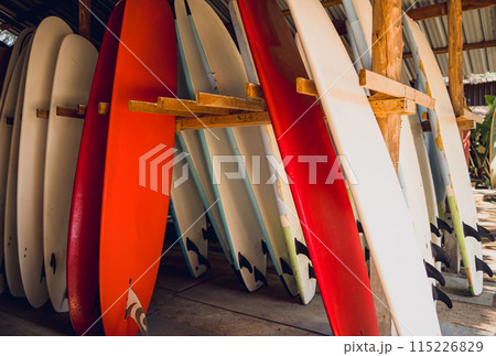 A variety of surfboards are neatly displayed on a stand A variety of surfboards are neatly displayed on a stand 115226829