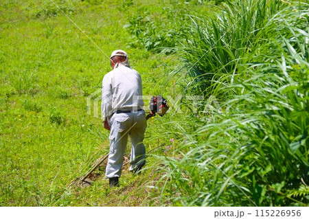 毛呂山町の里山で草刈りをする農民の後ろ姿 毛呂山町の里山で草刈りをする農民の後ろ姿 115226956