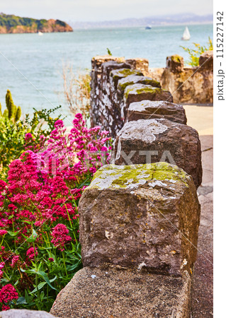 Brown stone bricks in castle pattern with hot pink flowers bellow and ocean view with sailboat 115227142