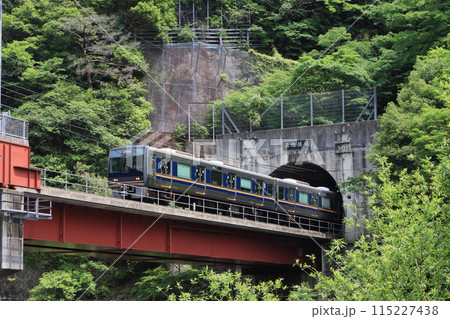 福知山線の武田尾駅に到着する207系電車 115227438
