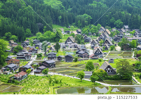 岐阜県 白川郷合掌造り集落 城跡展望台からの風景 世界遺産 岐阜県 白川郷合掌造り集落 城跡展望台からの風景 世界遺産 115227533