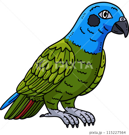 Pionus Parrot Bird Cartoon Colored Clipart I Pionus Parrot Bird Cartoon Colored Clipart I 115227564