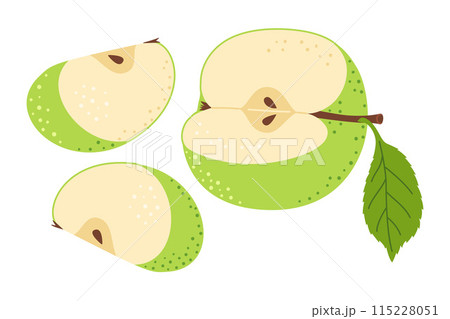 Green apple slice Hand drawn trendy flat style 115228051
