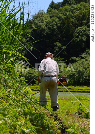 毛呂山町の里山で田植え前の草刈りをする農民の後ろ姿 毛呂山町の里山で田植え前の草刈りをする農民の後ろ姿 115228438