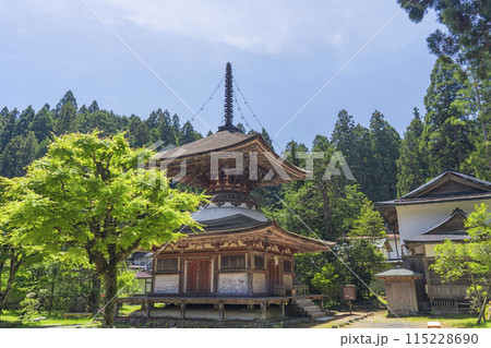 高野山　金剛三昧院　多宝塔 115228690