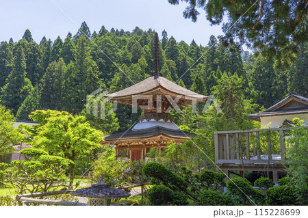 高野山　金剛三昧院　多宝塔 115228699