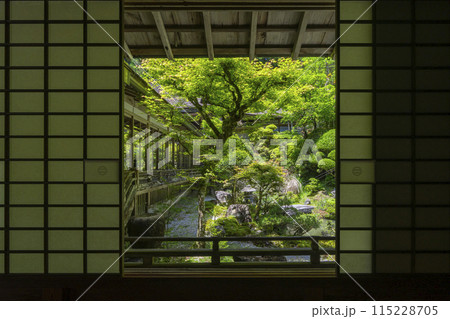 高野山 金剛三昧院 趣のある中庭 高野山 金剛三昧院 趣のある中庭 115228705
