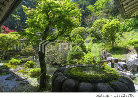 高野山　金剛三昧院　趣のある中庭 115228706