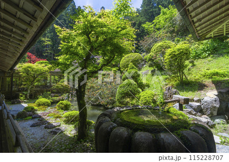 高野山　金剛三昧院　趣のある中庭 115228707