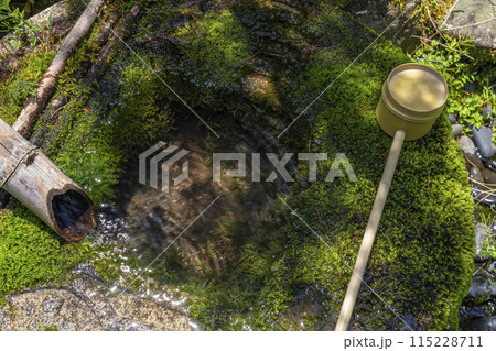 高野山 金剛三昧院 苔むした手水鉢 高野山 金剛三昧院 苔むした手水鉢 115228711