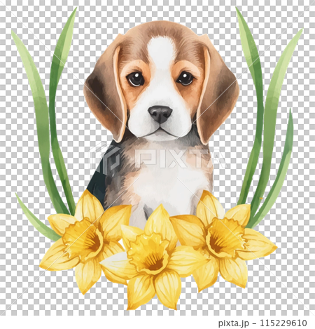 比格犬和水仙花 2 / 傳單和海報材料 115229610