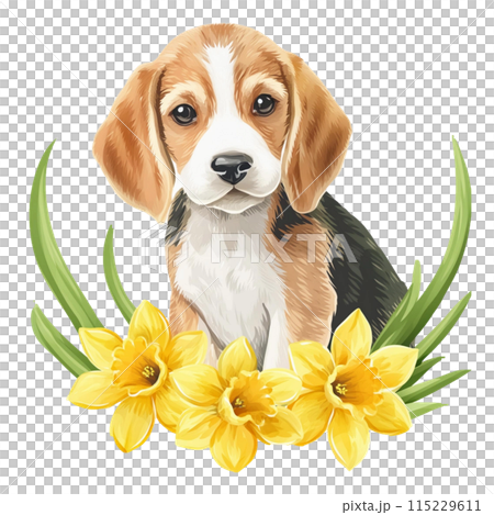 比格犬和水仙花 3 / 傳單和海報材料 比格犬和水仙花 3 / 傳單和海報材料 115229611