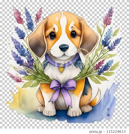 Beagle and Lavender Flowers 5 / Flyer and Poster Material Beagle and Lavender Flowers 5 / Flyer and Poster Material 115229613