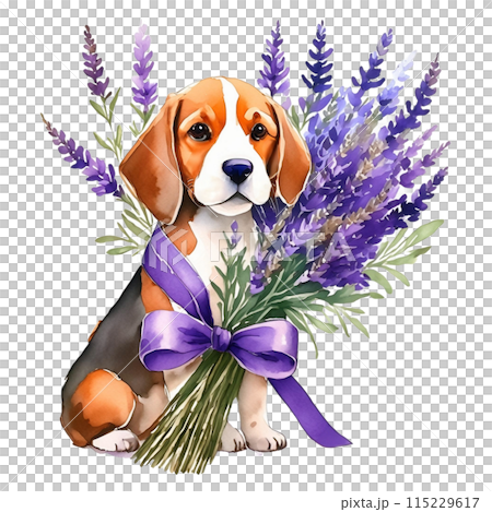 比格犬和薰衣草花 1 / 傳單和海報材料 115229617