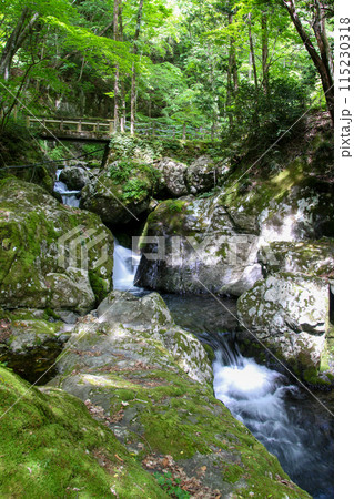 白賀渓谷 115230318