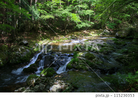 白賀渓谷 白賀渓谷 115230353