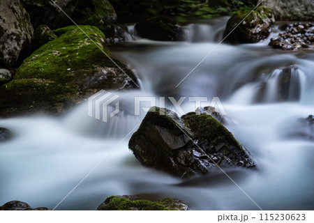 美しい川の流れ 美しい川の流れ 115230623
