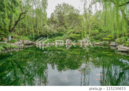 趵突泉公園 趵突泉公園 115230653
